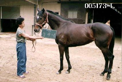 ��ȳ� ����