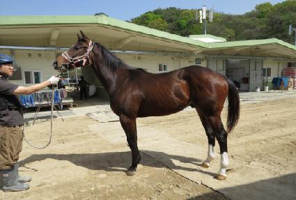 ���¸��� ����