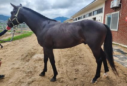 ��彺�� ����