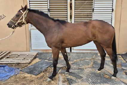 Ʈ���ÿ��� ����