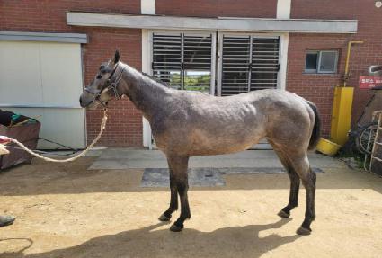 �ٺ��Ŀ� ����