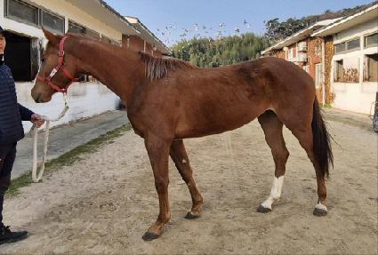 ������� ����