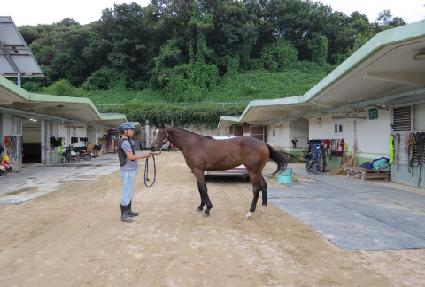 �������� ����