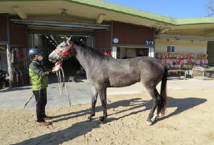 �����÷��� ����