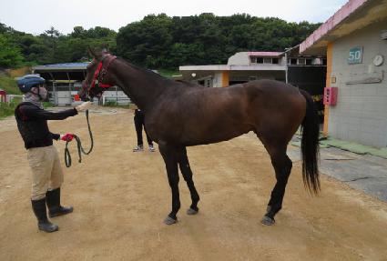 ���к� ����