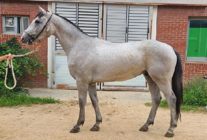 ����Ʈ�� ����