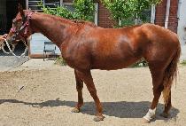 �÷������� (FLASH COCO) ����