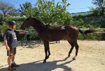 �̽��͵��� (MR. DOR) ����