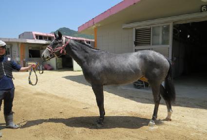 �׷��̽��� ����