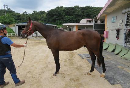 �������� ����