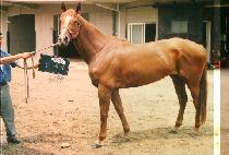 �ϴ�� (IL DAE GI) ����