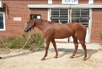 ���Ϳ��� (SEOGUI WORLD) ����