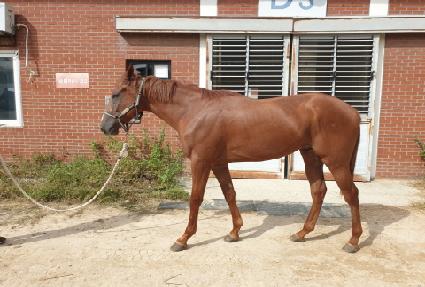 ���Ϳ��� ����