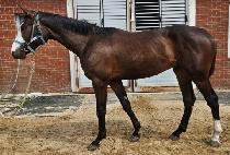 ������������ (FORCE BE WITH YOU) ����