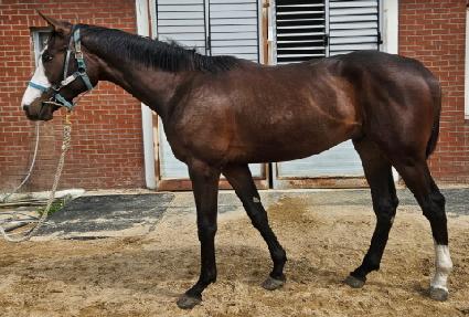 ������������ ����