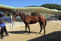 �۷θ����� (GLORY DAY) ����