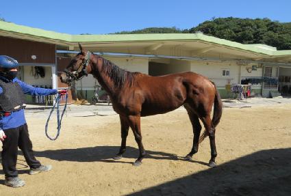 �۷θ����� ����