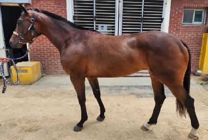 ���� ����