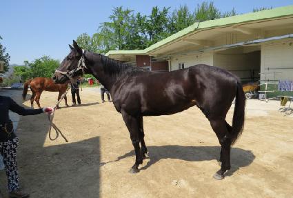 �뼺��Ÿ ����