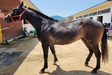 ���۷� ����