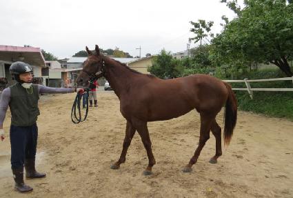 ������ ����