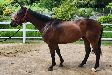 �е����ѹ��� ����