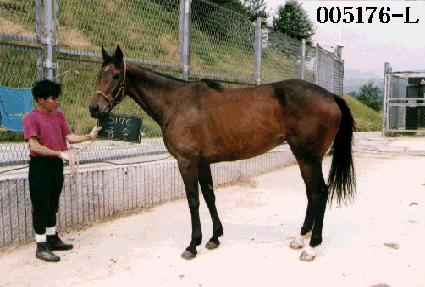 �ݽ� ����