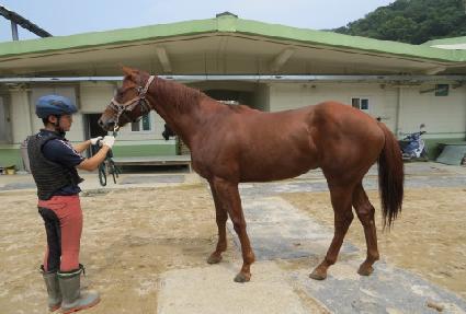 ����ϼ� ����