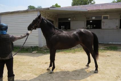 ���񷯽� ����