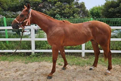 ���� ����