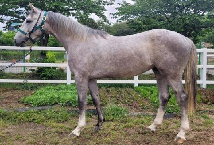 ���ͼֶ� ����