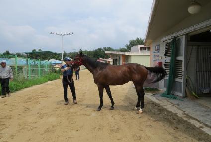 �챤�� ����