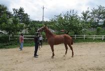 ���������̰� (MASTER KWAIGON) ����