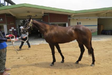 �νñ״Ͼ� ����