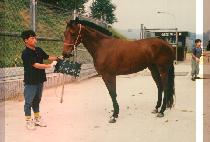 ��¥��� (AHL CHA BAE GI) ����