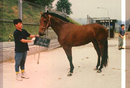 ��¥��� ����