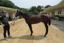 ���̴�ũ (SOMETHING DARK) ����