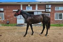 �̽���Ű�� (MR.KEYMAN) ����