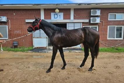 �̽���Ű�� ����