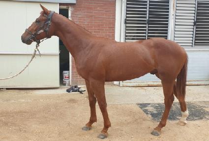 ����ŷ ����