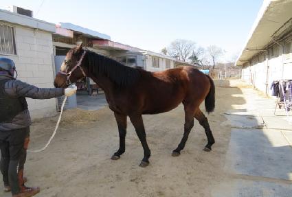 �ʹ޺� ����