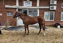 ����ž (HEUNGHAENGTAP) ����