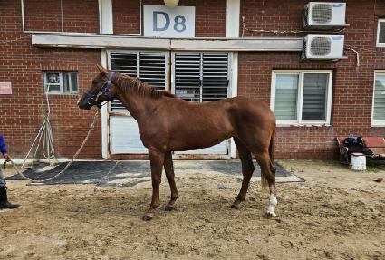 ����ž ����