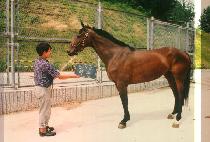 ���� (HA CHON) ����