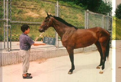 ���� ����