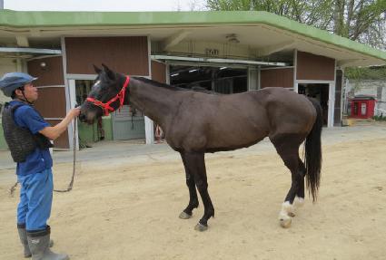 �۷ι��Լ� ����