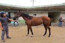 HWANGGEUM NALGAE picture