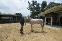 ��ĳó (SUN CATCHER) ����