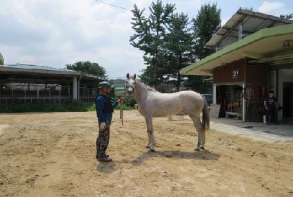 ��ĳó ����