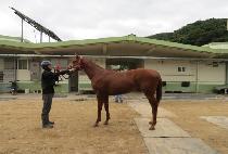 ������Ϳ� (LEGEND WOW) ����